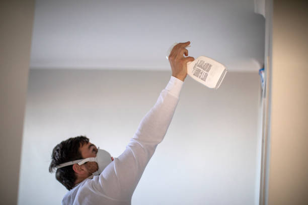 Best Toxic Mold Removal  in Washington, IL