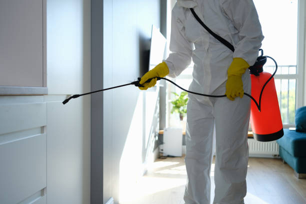 Best Mold Remediation  in Washington, IL